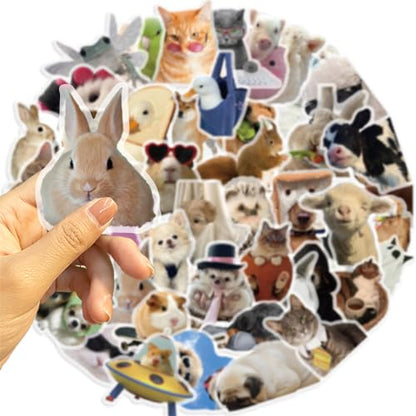 50Pieces Cat Dog Meme Stickers, Funny Animal Transparent PET Sticker Self-Adhesive Scrapbooking Stickers Supplies Journal Stocking Stuffers for Kid Adult Card Making Letters DIY (CDMEME-PET) - color: Cdmeme-pet