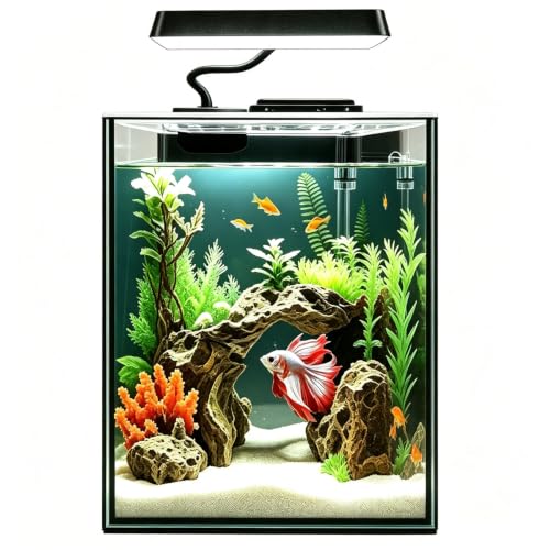 Glass Betta Aquarium Starter Kits 1.5 Gallon Small Fish Tank, Betta Fish Tank with LED Light, Power Filter, Black. 4mm Glass - color: Black transparent