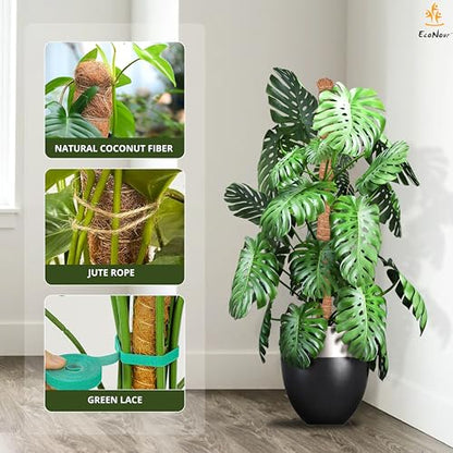 EcoNour 2 Pack Moss Poles for Plants – 28" Monstera Plant Support Stakes, Coir Plant Sticks for Indoor Climbing Plants, Pothos, Philodendron & Houseplants - size: 28 Inches - (2 PCS)