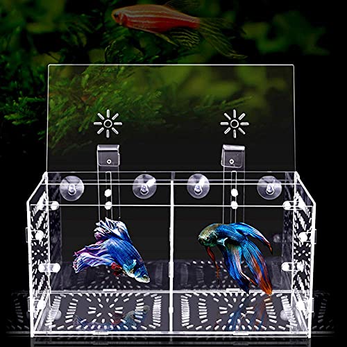 Fish Breeding Box Acrylic Fish Isolation Box Fish Seedlings Incubator Aquarium Fish Breeder Box with Isolation Board for Baby Fishes Shrimp Clownfish and Guppy(30CM*15CM*15CM)