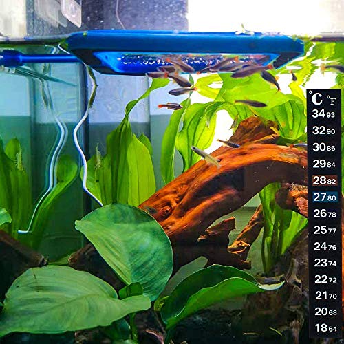 Fish Feeding Ring, Floating Food Feeder Thicken Square, Reduces Waste and Maintains Water Quality, for Flakes and Floating Fish Foods, for Guppy, Betta, - color: Blue Wide