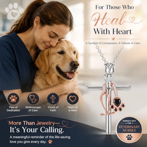 Graduation Gifts for Women 925 Sterling Silver Compass/Graduation/Vet/Cross/Stethoscope Necklace for Women - color: Cross-Vet