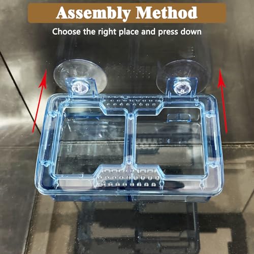Hamiledyi Transparent Reptile Feeder with Suction Cup Separated Double Compartments Chameleon Bowl Gecko Live Worm Feeder Anti-Escape Reptile Supplies for Lizard Bearded Dragon (Blue, 2 Pcs) - color: Blue