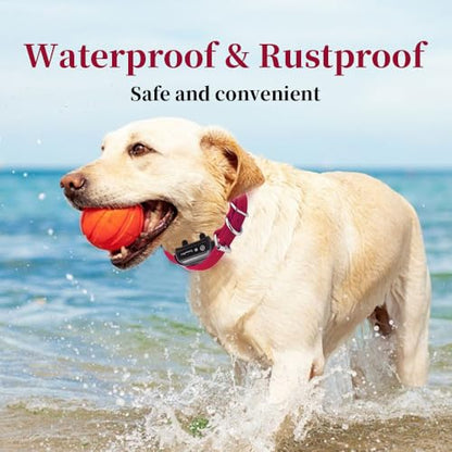 Waterproof TPU Replacement Strap for Dog Training Collar, 27.5 in - color: Red