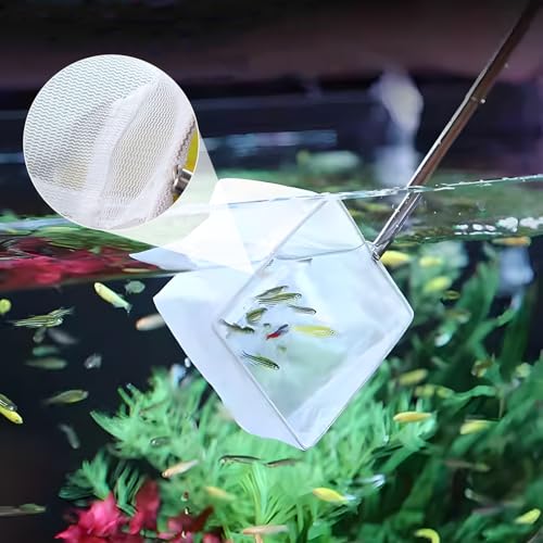 4 Pcs Square Shrimp Net, Stainless Steel Fish Tank Nets, Fish Net for Fishes Tank, Extendable Handle Small Fishes Nets for AquariumTank Pond
