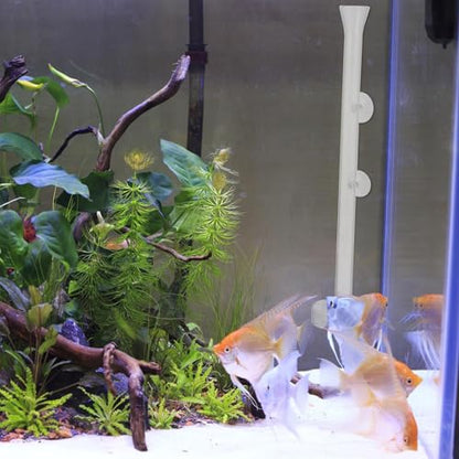 SHINEOFI Aquarium Fish Feeder Tube with Glass Feeding Dish 40cm Shrimp Feeder for Fish Tank Tools and Aquarium Shrimp Feeding