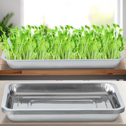 6 Pack Seed Starter Tray 13.78x 10.24x 1.38Inch Plant Germination Trays Stainless Steel Seed Sprouting Trays Microgreens Growing Trays
