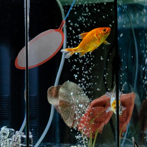 10pcs Small Aquarium Fish Tank Nets Fine Mesh Fishing Nets for Fish Catching and Aquarium Use Random Color