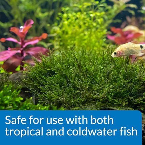 API Root TABS Freshwater Aquarium Plant Fertilizer 0.4-Ounce 10-Count Box (Pack of 2) - size: 10 Ct (Pack of 2)