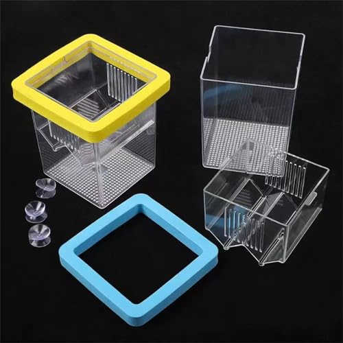 Fishtank Hatchery Incubator Aquarium Small Breeding Box Clear Breeder Isolation Hatching Box with Suction Cup Safe Fish Eggs Incubator - color: Yellow