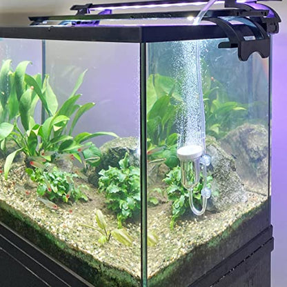 boxtech Aquarium Air Stone, Fish Tank Bubble Diffuser High Dissolved Oxygen Airstones for Air Pump Accessoriess with 1 Check Valve, 2 Suction Cup for Aquarium Pond Hydroponic - size: 1.4 inch