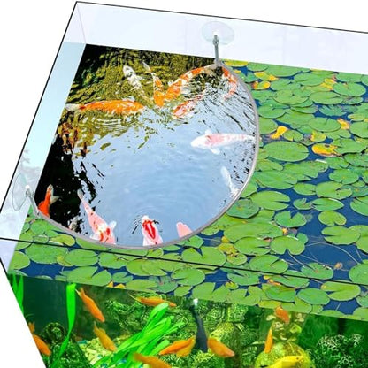 Aquariums Floating Plant Floating Plant Fence Fish Feeding Rings for Fishtanks Househould Fishtanks Supplies