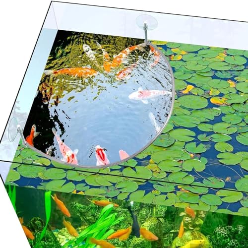 Aquariums Floating Plant Floating Plant Fence Fish Feeding Rings for Fishtanks Househould Fishtanks Supplies