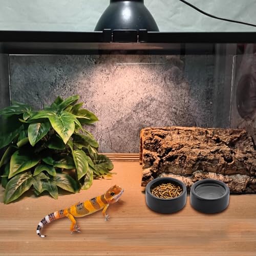 3 Pack Reptile Ceramic Feeding Bowl Food and Water Dish Anti Escape Bowl for Small Reptile Spider Lizard Gecko Frog Turtle Hermit Crab (Black)