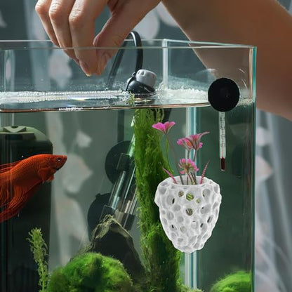 WOONEKY Shrimp Hideout Aquarium Cave with Multiple Holes Hollow Coral Rock Breeding Shelter Fish Tank Decoration for Freshwater Shrimp and Betta Fish