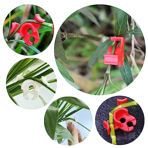 Booge 40 Pcs Low Stress Training Clips, 90 Degrees Plant Trainer Bud Plant Bender Plant Training Clips Bud Bender for Plant Gardening - Red and Green - color: 40 Pcs Red and Green