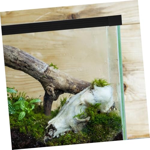 POPETPOP 1set Edge Protector for Fish Aquarium Trim Strip Prevents Spills and Easy Access for Feeding and Care