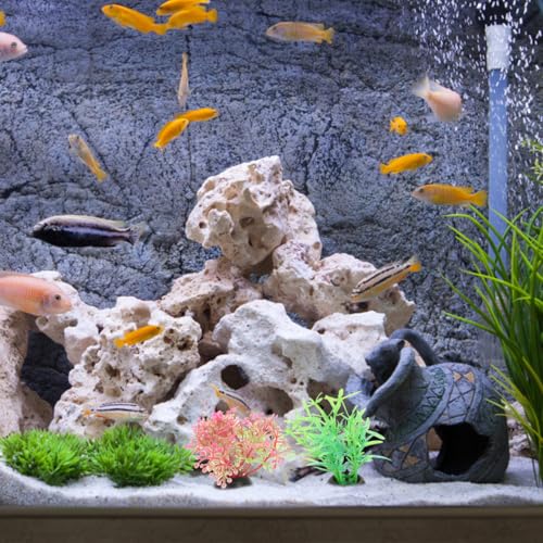 Garneck 40 Pack Fish Tank Decorations Small Artificial Aquarium Plants: Plastic Water Grass Mixed Styles for Small Aquarium Decor Betta Tank Accessories Fake Plants for Bowl Desktop