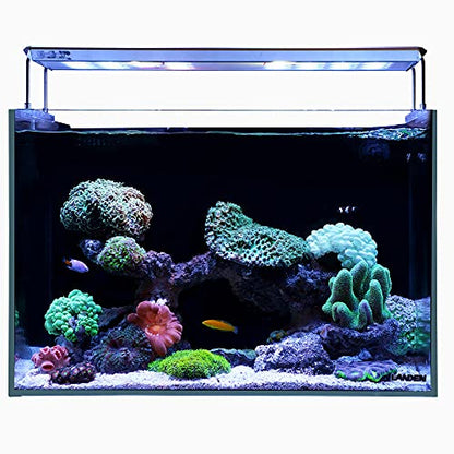 60P 26.23 Gallon Ultra Clear All Glass Rimless Low Iron Aquarium Tank with Rear Filtration Chamber for Salt and Fresh (Return Pump Included) 23.6Wx17.7Dx15.8H in(60x45x40cm) 8mm Thickness