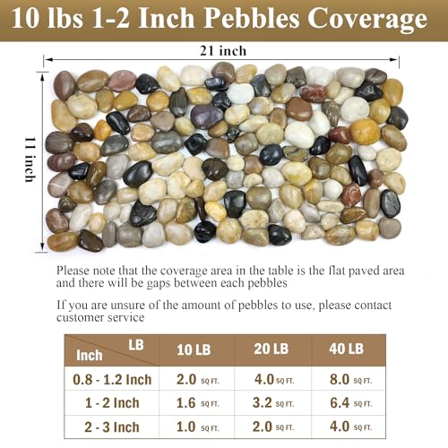 FANTIAN 20 lbs Pebbles for Outdoor Landscaping, 1-2 Inch River Rocks | Polished Pebbles for Plant Indoor, Aquarium, Vase, Fish Tank, Landscaping, Outdoor Garden - size: 1-2 Inch, style: 20 Pounds