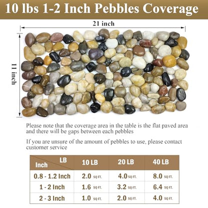 FANTIAN 20 lbs Pebbles for Outdoor Landscaping, 1-2 Inch River Rocks | Polished Pebbles for Plant Indoor, Aquarium, Vase, Fish Tank, Landscaping, Outdoor Garden - size: 1-2 Inch, style: 20 Pounds