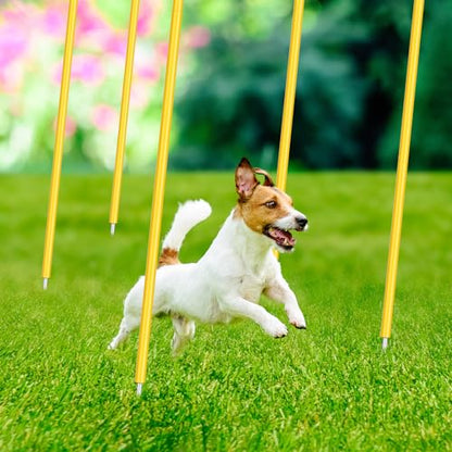 Blulu 5/10/30pcs Training Agility Poles 5ft Adjustable Soccer Training Poles Soccer Sticks Agility Equipment for Football Sport Football Speed