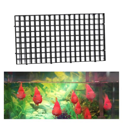 1pcs Bottom Filtration Grid Large Black Segregation Board for Aquarium Plastic Net Hatchery Fish Box Fish Net Pet Supplies