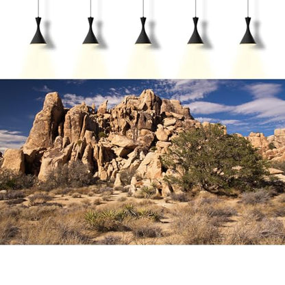 Desert Reptile Tank Background Hidden Valley Joshua Tree Terrarium Background Desert Landscape Reptile Terrarium Background Rocky Bush Reptile Habitat Background Bearded Dragon Tank Background 24x12in - color: Rock Brown, size: 24(W)x12(H)inches/ 60(W)*30