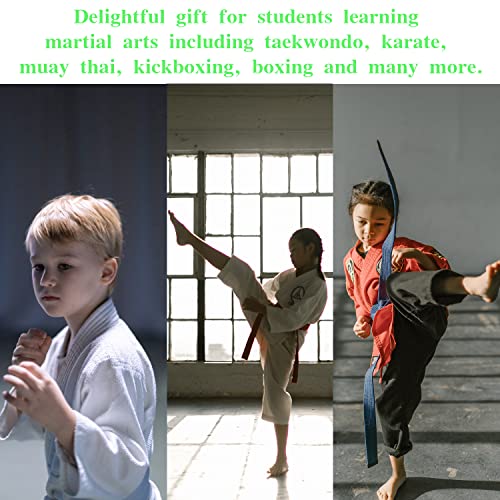 12pcs Taekwondo Karate Breaking Boards,Karate Martial Arts Boards,Professional Wood Boards for Taekwondo Breaking,Boxing Equipment Breaking Board Practice Performing for Kids&Adult - size: 7mm