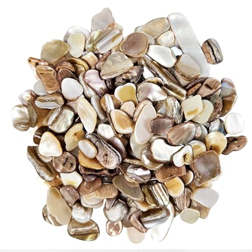 Natural Crushed Shells Chips Irregular Mother of Pearl Seashell Fragments Sea Shell Pieces for DIY Crafts, Vase Filler, Decorating, Home Décor - color: Natural Color, size: 1LB