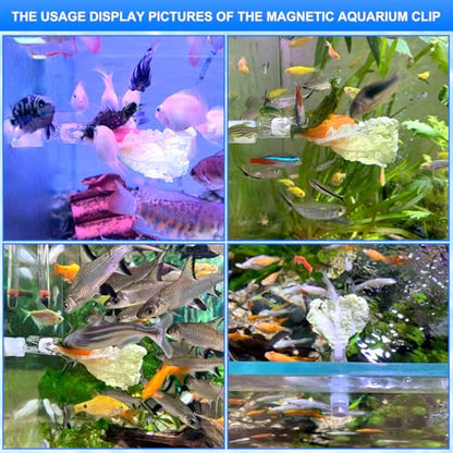 Magnetic Seaweed Fish Feeding Clip Saltwater Aquariums Magnet Veggie Feeder clamp Fish Accessories —Patented Product(4pcs Magnetic Veggie Clip) - size: 4pcs magnetic veggie clip