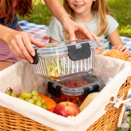12-Piece Vertical Stripe Borosilicate Glass Food Storage Containers with Lids, Glass Meal Prep Containers, Leak-Proof Snap-Lock Sealed, BPA-Free, 10-35 oz Capacity (Large) - size: Large
