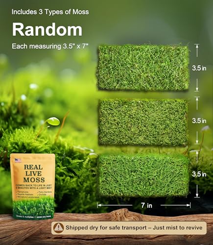 Live Moss 3-Pack for Reptile Enclosures & Terrariums,Fresh Reptiles Substrate | Mixed Varieties, Moisture-Holding Layer, Humid Hide Accent, Forest-Floor Look, Easy to Trim, For Geckos, Turtles, Snakes
