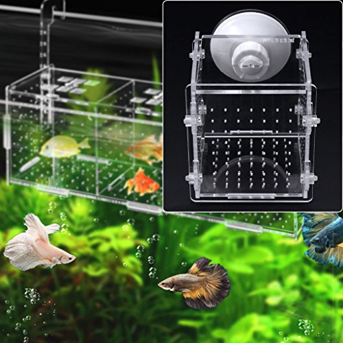 Fish Breeding Box Clear Acrylic Fish Isolation Boxes Aquarium Hatchery Incubator with Suction Cup for Newborn Shrimp