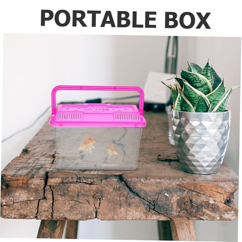 Kisangel 4pcs Handheld Plastic Fish Tank Carrier for Small Fish Turtles Reptiles and Hamsters Mini Aquarium Feeding Box and Vibrant Pet Transport