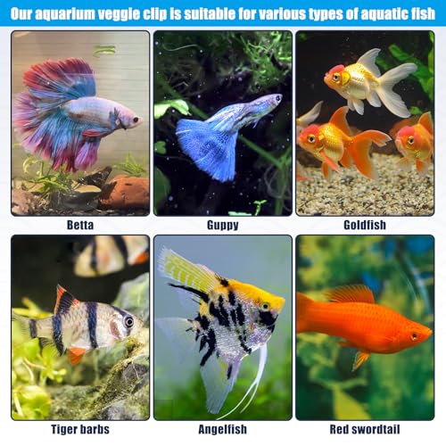 Magnetic Aquarium Veggie Clip Plant Feeding nori Seaweed Clip for Saltwater Fish Aquarium Magnet Lettuce Food clamp Fish Accessories—Patented Product (2pcs Magnetic Veggie Clip) - size: 2pcs magnetic veggie clip