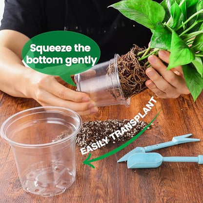 Bluepro Clear Nursery Pots with Drainage, 3.5/4/5/6/8 Inch, 20-Pack | Clear PET, 4 Each of Five Sizes, Root and Moisture Visibility, Flexible, Reusable, Seed Starting Through Repotting - size: 3.5/4/5/6/8 Inch-20Pcs