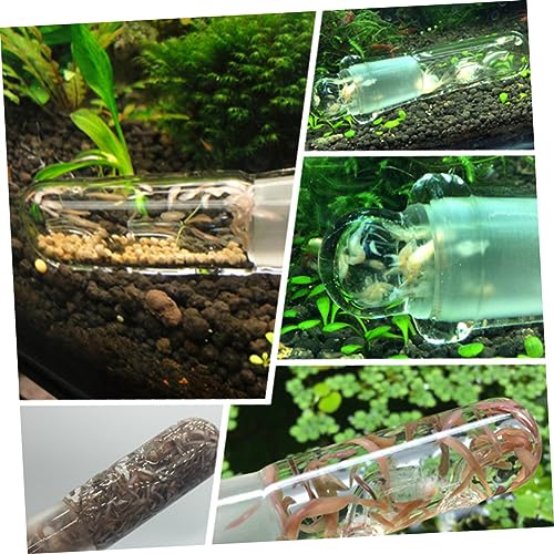 2hole Glass Turbellarian Catcher for Fish Tank Aquarium Safe Catching Tool for Aquarium Maintenance