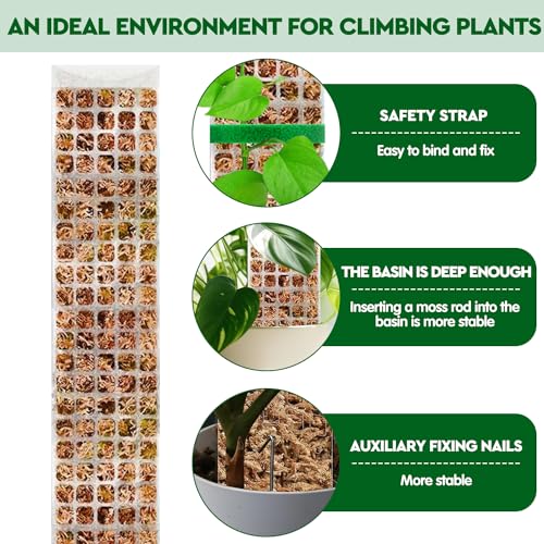 YSKS 4 Pcs 24-inch Plastic Moss Poles for Plants ，Moss Poles for Climbing Plants, Indoor Plant Support Work with Sphagnum muss