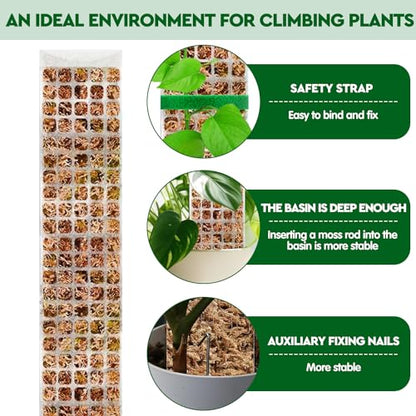 YSKS 4 Pcs 24-inch Plastic Moss Poles for Plants ，Moss Poles for Climbing Plants, Indoor Plant Support Work with Sphagnum muss