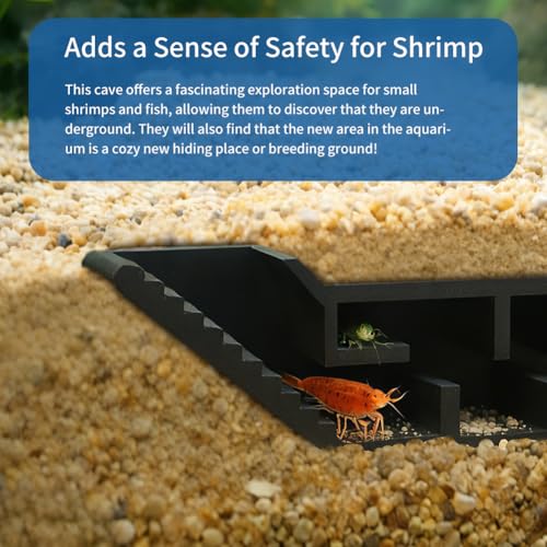 Shrimp & Fish Aquarium Decor, Viewing Shrimp Freshwater Hide Tunnel, Aquarium Underground Fish Tank Decor Decoration Hideout for Kuhli Loach, Pleco