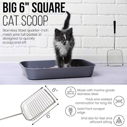 Sand Dipper Cat Poop Scooper & Chicken Poop Scooper - Rugged Big 6" Square Stainless Steel Long Handle for Home Kitty Litter Scoop & Farm Chicken Compatible Coop Scooper (Scoop) - size: 6 - Scoop