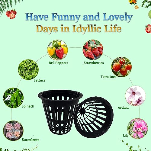 100 PCS 2 Inch Heavy Duty Net Pots, Slotted Mesh Hydroponic Cups for Garden, Plant Nursery Net Cups for Hydroponics and Aquaponics - size: 2inch