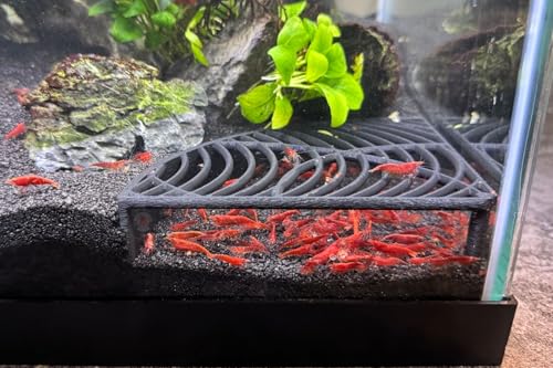 LifeWithPets Aquarium Shrimp Tank Decorations | Corner Shrimp Hide | Shrimp Cave | Breeding Shrimp Hide | Shrimp Tunnel - size: Corner Hide