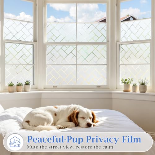 Coavas Window Privacy Film UV & Sun Blocking No Glue 17.5"x118" Frosted | Static Cling Removable Anti Glare Heat Control Day and Night Frosted Glass Window Film for Bathroom Home Office - color: White, size: 17.5 x 118 Inch