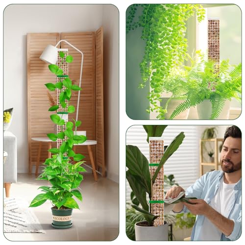 YSKS 4 Pcs 24-inch Plastic Moss Poles for Plants ，Moss Poles for Climbing Plants, Indoor Plant Support Work with Sphagnum muss