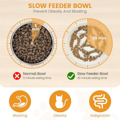 PETTOM Slow Feeder Cat Bowl with Stand, Ceramic Slow Eating Cat Bowl with Higher Edges Fish Pool Design Elevated Food Bowls for Dry and Wet Food Anti-Vomiting Puzzle Feeder for Healthy Eating Diet - color: White
