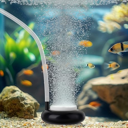 hygger Aquarium Air Stone, Fish Tank Bubbler, Nano Furnace Flue Round Stone Disk, Small Bubbles and High Dissolved Oxygen, with 2 Suction Cups, 1 Adjust Valve, 1 Check Valve (2 Inch) - color: Black, size: 2 Inch