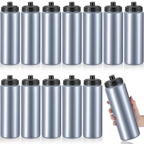 LemonRoad 12 Pack Squeeze Water Bottles Reusable 20 oz Plastic Sports Water Bottle with Pull Top Lid, Bike Cycling Gym Sport, Dishwasher Safe (Grey) - color: Grey