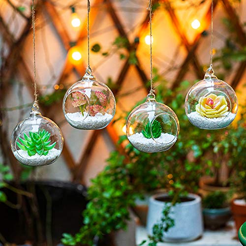 NUPTIO Hanging Glass Terrarium Planters, 4 Pcs, 4 Inch | Clear Round Globes, for Succulents, Air Plants, Votives, DIY Gifts, Window or Garden Decor - size: 4" / 10cm
